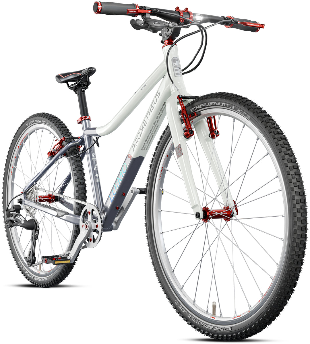 fitnessbike 26 zoll LU:MO Kinderrad 26 Zoll ab 10 Jahre | 9-Gang | MIST GREY