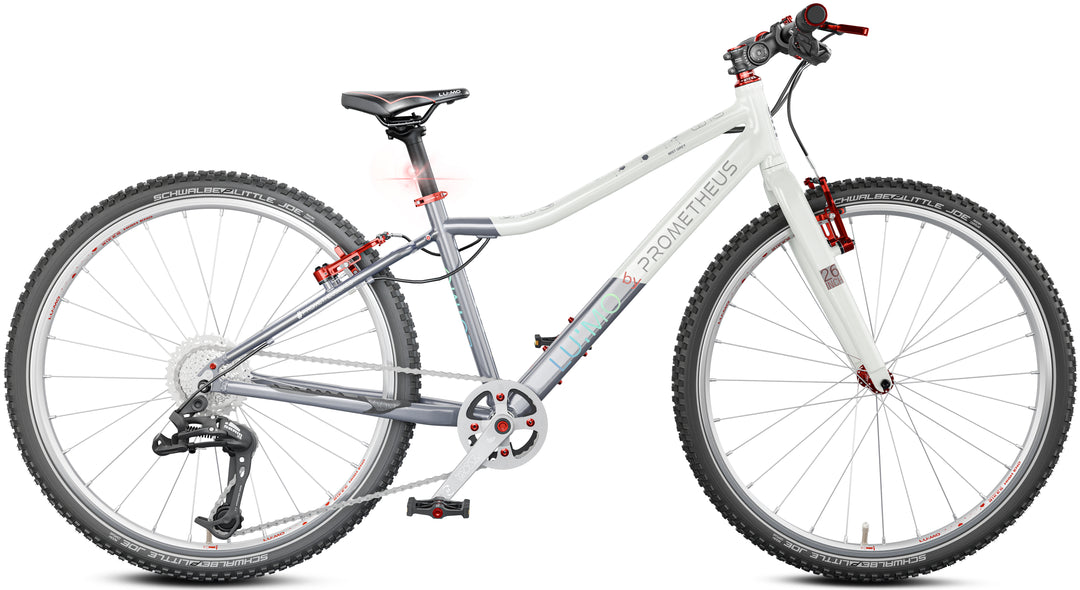 LU:MO Kinderrad 26 Zoll ab 10 Jahre | 9-Gang | MIST GREY | LED-Integration