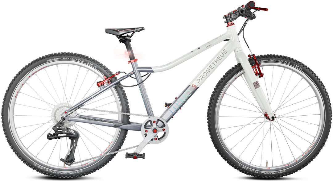 LU:MO Kinderrad 26 Zoll ab 10 Jahre | 9-Gang | MIST GREY | LED-Integration